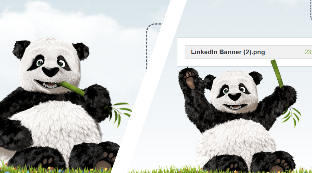 The official TinyPNG mascot, a 3D-rendered panda sitting on grass next to a digital file box titled "LinkedIn Banner (2).png".