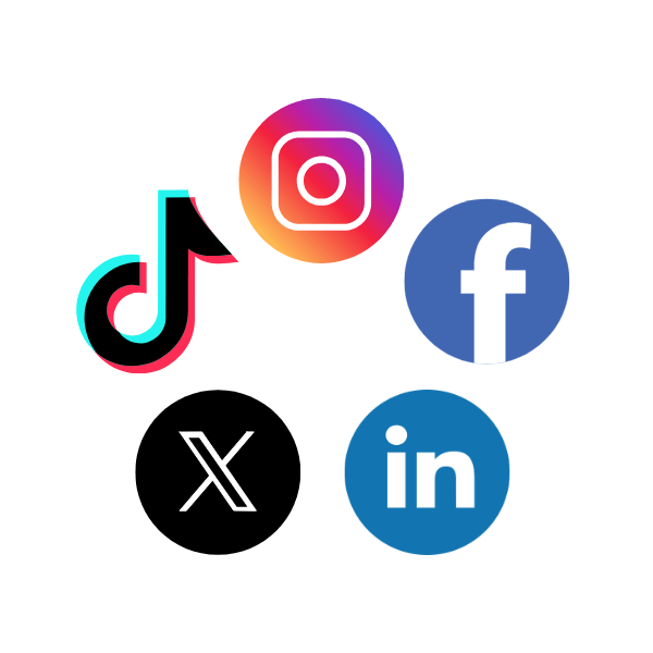 Social media platforms we will be discussing below.
