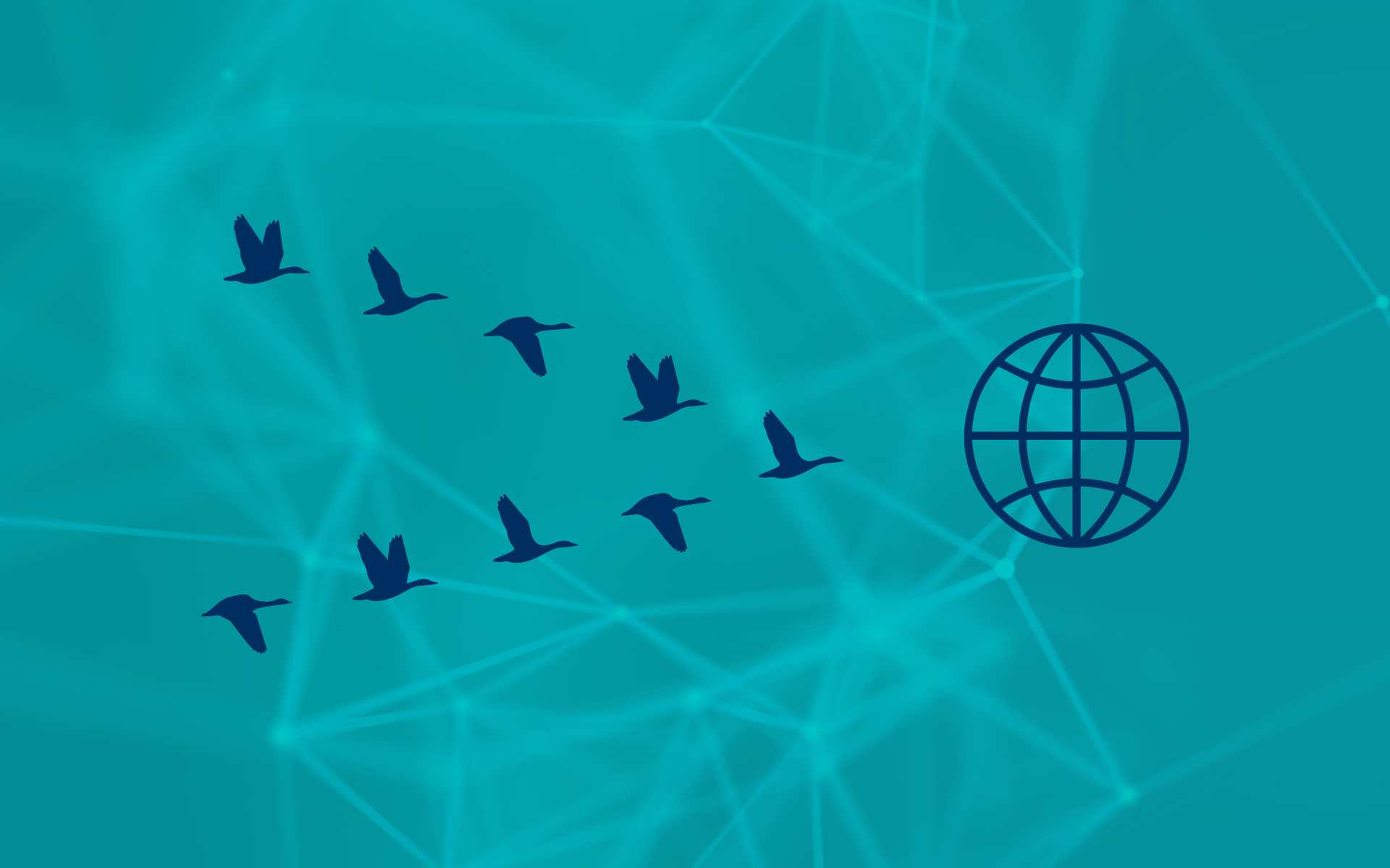 Birds migrating as a visual cue regarding the article around website migration and how to avoid losing search traffic