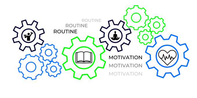 Interlocking gears illustrating routine, learning, motivation and wellbeing.